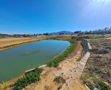Large Plots and Spacious Gardens