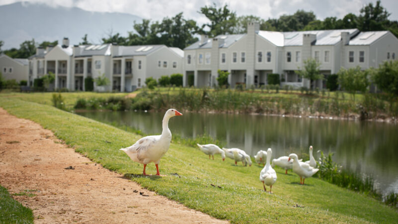 Lifestyle in the Winelands